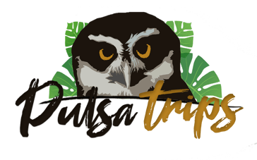 Pulsatrips Expeditions logo