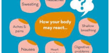 body react