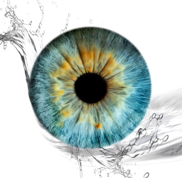 iris foto, Einzeliris, Auge, Macroaufnahme