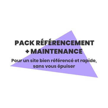 Pack Référencement et maintenance de site web,, par Lz Créa, Essonne