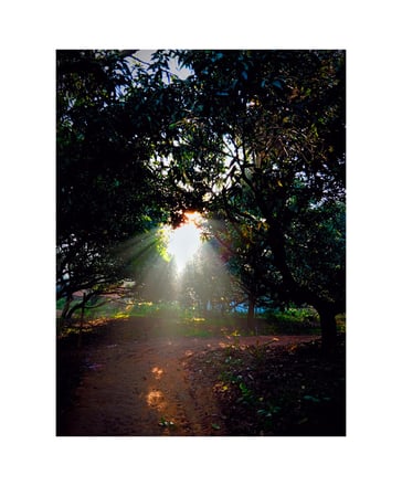 sunrising photo