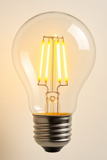 led light bulb