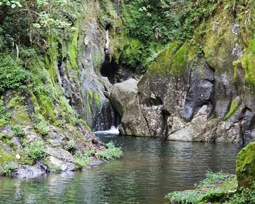 a bassin in a rocky river