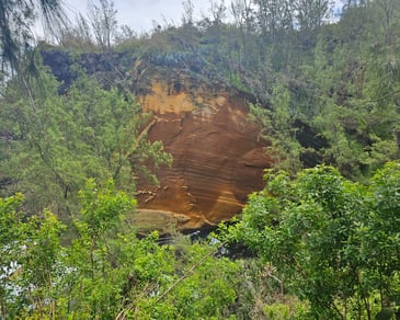 a large rock formation in the middle of a forest