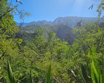 a mountain view of a mountain range with trees and mountains in the background
