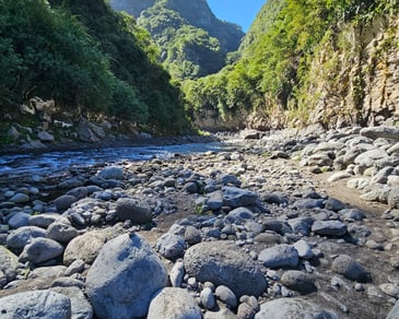 a river with rocks and trees in the background