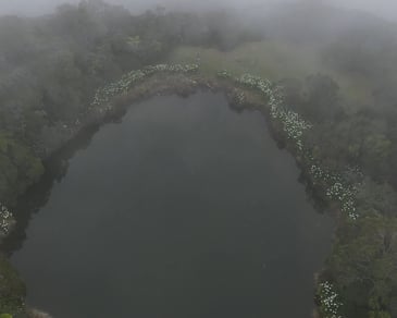 Le lac du piton de l'eau