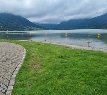 ufer vom schliersee mit bergen