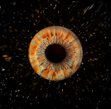 iris foto, Einzeliris, Auge, Macroaufnahme