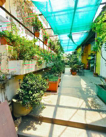Terrace garden