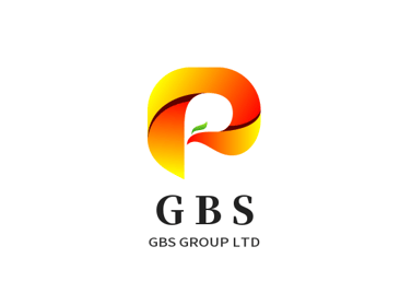 gbsgroup.shop logo