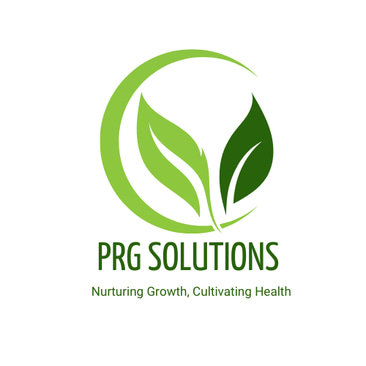 PRG SOLUTIONS logo