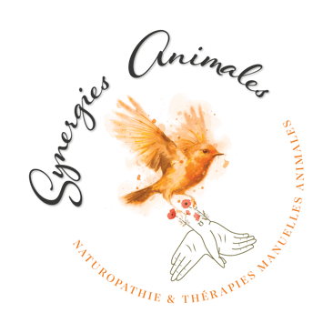 Synergies Animales logo