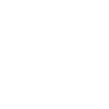 Tahnee Briana Photography logo