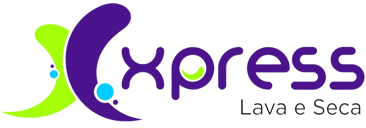Xpress Lava e Seca logo