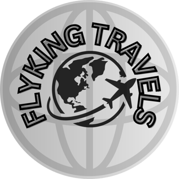 FLY KING TRAVELS logo