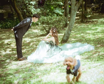 photographer皇軼
