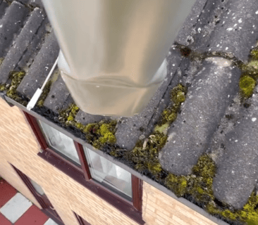 Gutter cleaning