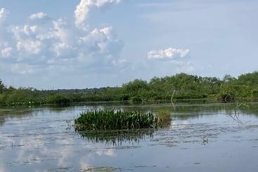 A view from on the lake