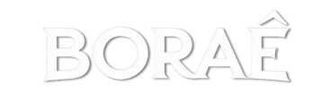 Borae agência de Inovação logo
