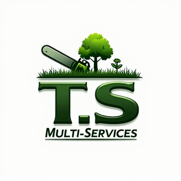T.S Multi-Services logo
