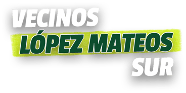 Vecinos López Mateos Sur logo