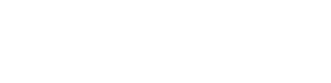 Vereador Andrigo logo