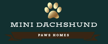 Cavalier King Charles Paws Homes logo