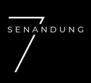 7 promose logo