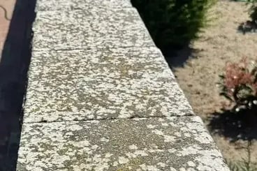 vorher bild steinreinigung