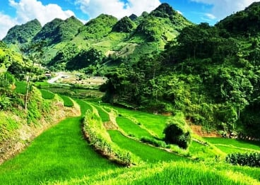 Rice terraces in North Vietnam