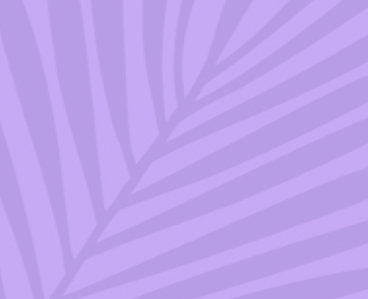 purple background with purple leaf