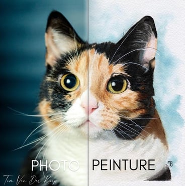 peinture de référence à cote du résultat en peinture de chat