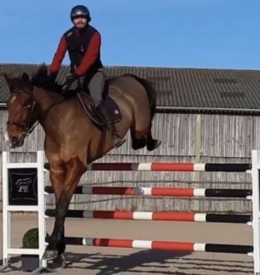 cavalier à l'obstacle