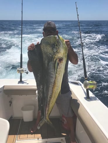 yate-pesca-deportiva-cabo-san-lucas-dorado-pesca