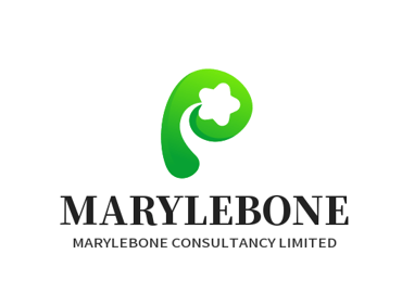 maryleboneconsultancy.shop logo