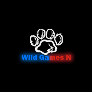 Wild Games N logo