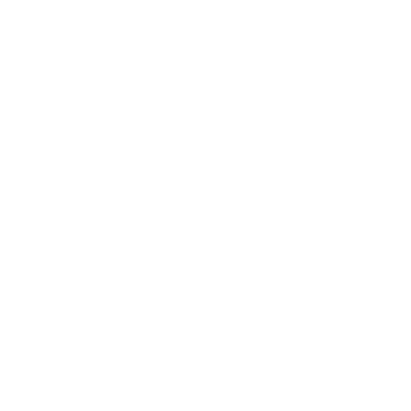 Brabos brazilian jiu jitsu logo