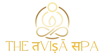 The तvisa logo