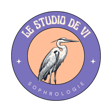 Le Studio De Vi logo