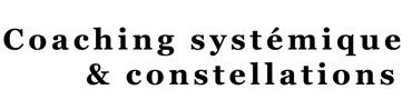 Systèmes vertueux logo