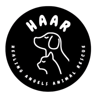 Healing Angels Animal Rescue logo