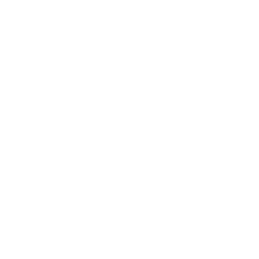 Janos Meister Dachreparatur Reparaturen innen und rund ums Haus logo