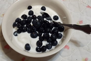 greek yogurt with blueberries