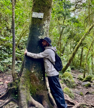 Columbian Rainforest - Hugging tree