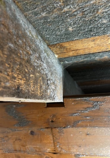 Mögel skada, Krypgrundsavfuktare Västerås