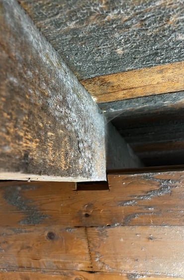 Mögel skada, Krypgrundsavfuktare Västerås