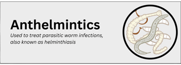 Anthelmintics pharmaceutical product type