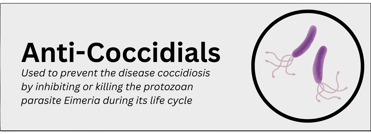 anti-coccidials pharmaceutical product type