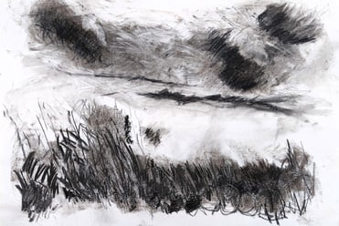 Paysage imaginaire 130525 - Fusain sur papier - 65X50 - 2025